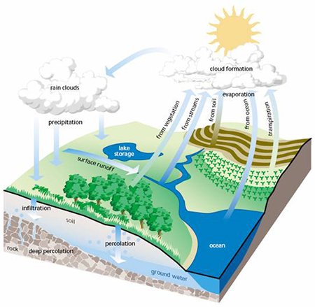 Watershed Basics The Water Cycle CRD